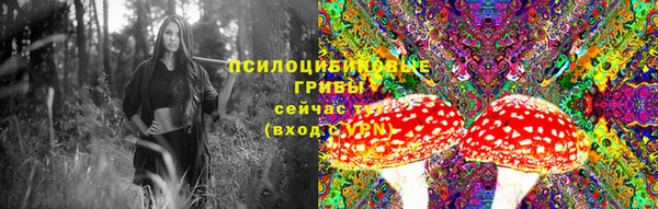 соль курить ск Пестово