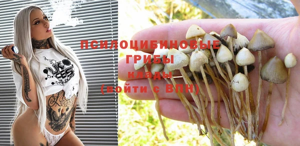 прущая мука Бутурлиновка