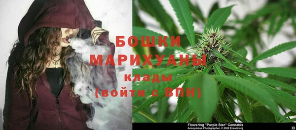 спиды Валдай