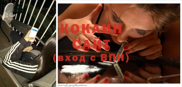 spice Осинники